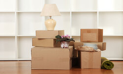 best movers blog tips  and ideas
